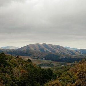 Dirty Projectors - Mount Wittenberg Orca