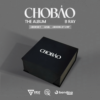 USB BOXSET - B RAY "CHO BẢO" THE ALBUM